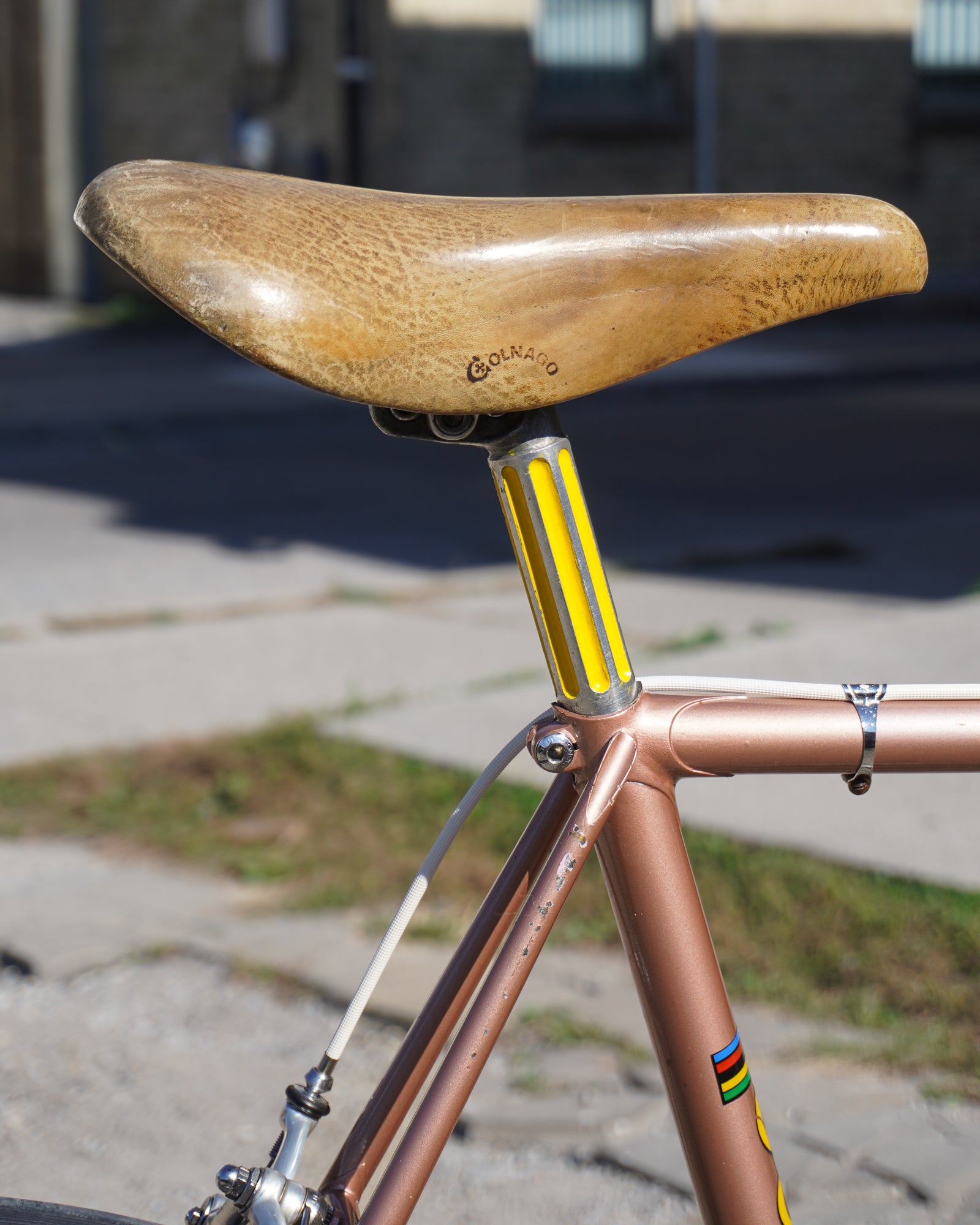 1973 Colnago Super – Gremlins Bicycle Emporium
