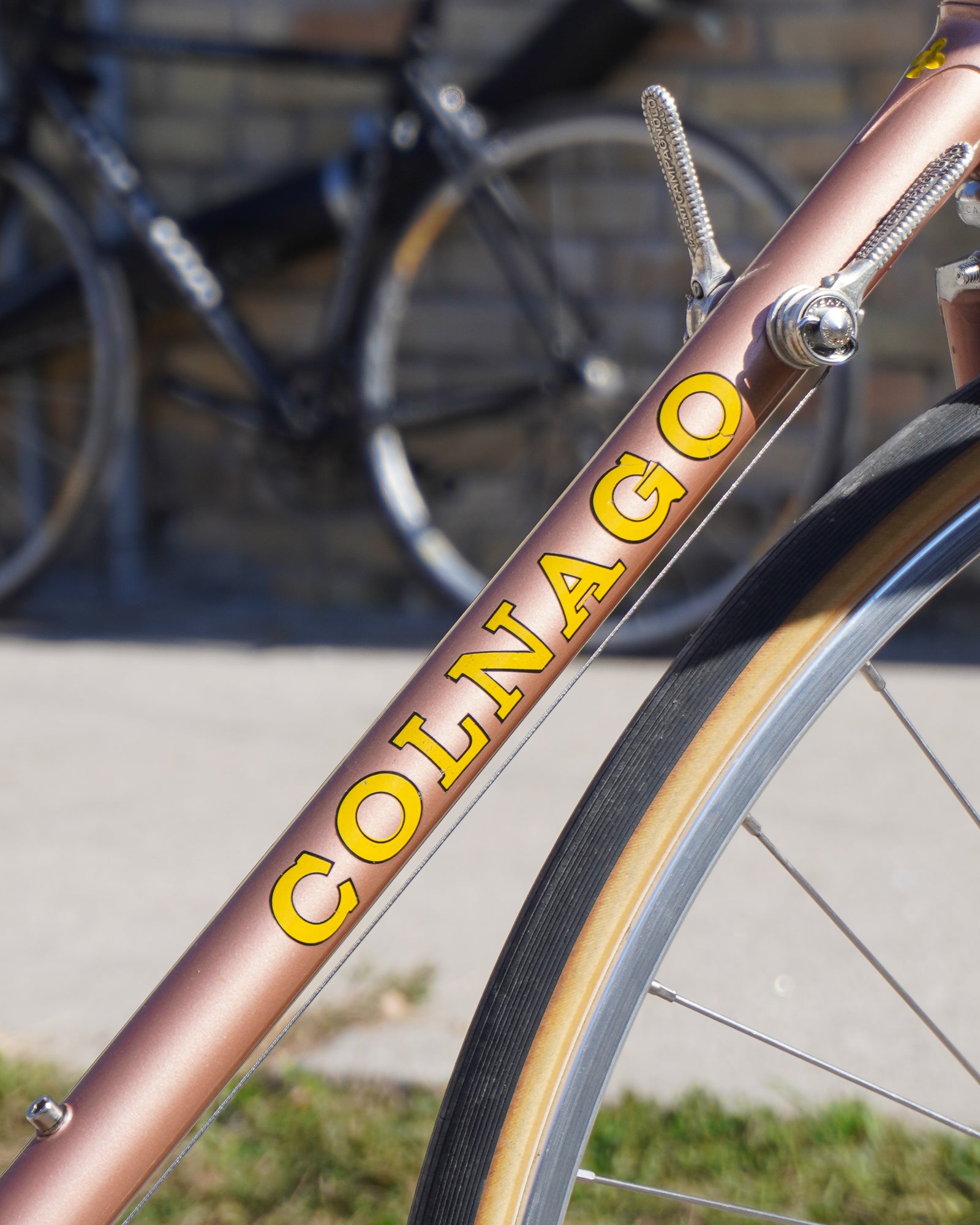 1973 Colnago Super – Gremlins Bicycle Emporium