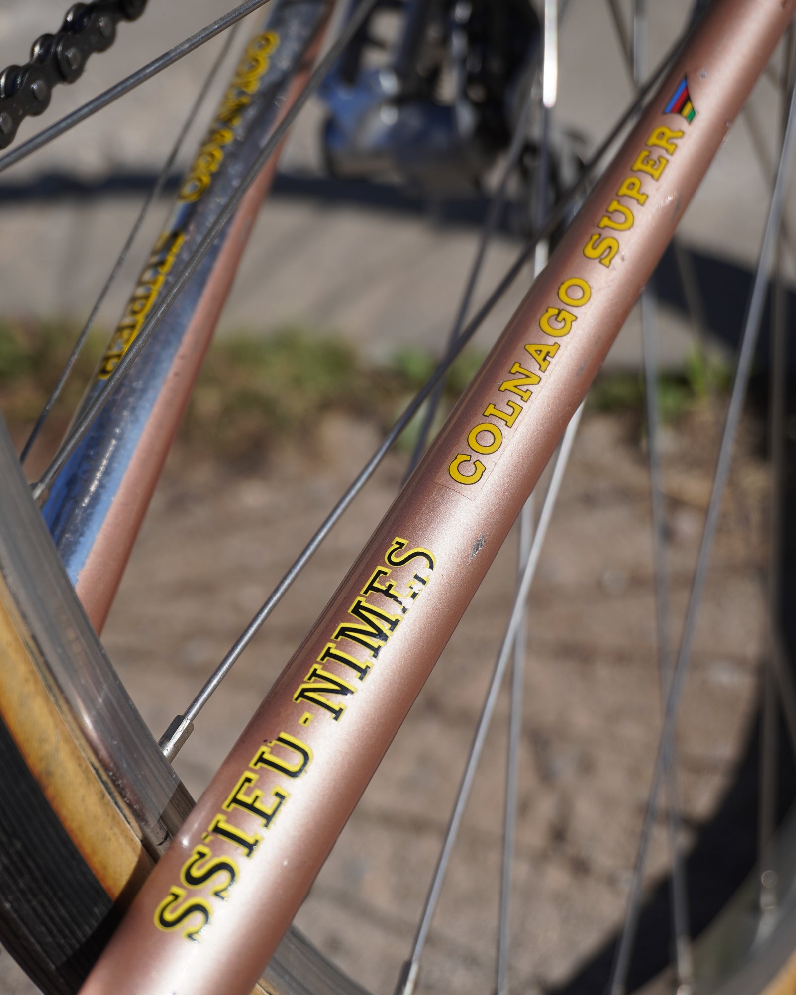 1973 Colnago Super – Gremlins Bicycle Emporium